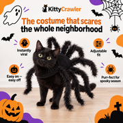 Pet Halloween Funny Spider Chest Back Creative Cat Dog Small Dog Transformation Costume For Dogs Cats Party Cosplay Funny Outfit
