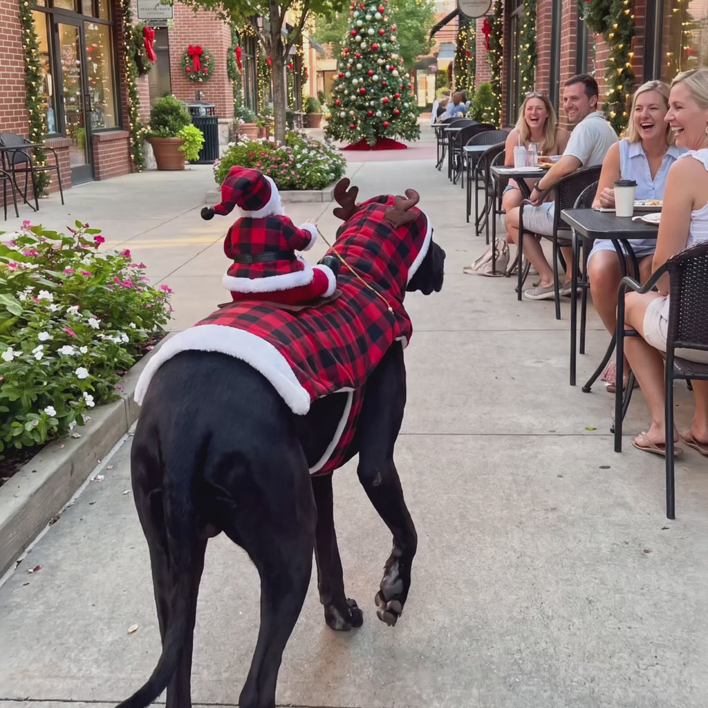 Santa Rider Dog Costume – Funny Christmas Pet Outfit